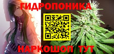 a pvp Малоярославец
