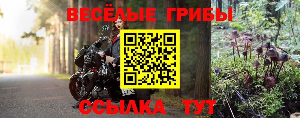 Кубинка  Галлюциногенные грибы мицелий  купить закладку  Вход с VPN 