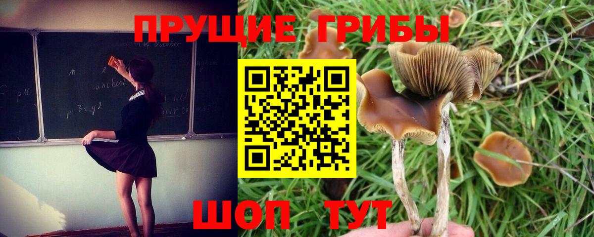 Псилоцибиновые грибы мухоморы Кубинка